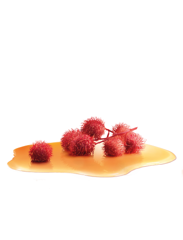 ingredient-castoroil